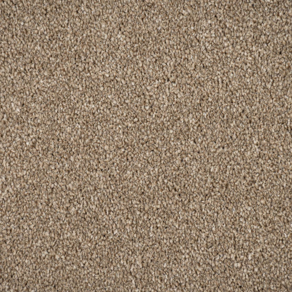 Mink Brown Moxie Saxony Carpet