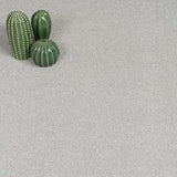 Mist Velvet Dreams Love Story Carpet by Abingdon