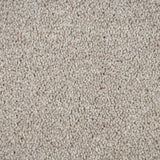 Mistflower 32 Cassius 70oz Invictus Carpet