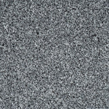 Misty Grey 02 Stainfree Rustique Saxony Carpet by Abingdon