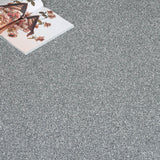 Misty Grey 02 Stainfree Rustique Saxony Carpet by Abingdon