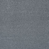 Misty Grey Stainfree Rustique Ultra Carpet by Abingdon