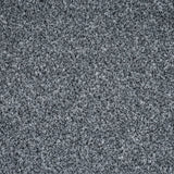 Misty Grey Stainfree Rustique Ultra Carpet by Abingdon