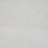 Misty Grey Vermont Twist Carpet