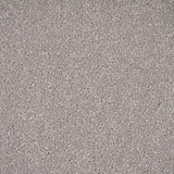Misty Morning Primo Plus Carpet by Cormar