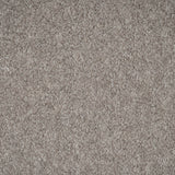 Mocca 45 iSense Obsession Carpet
