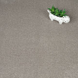 Mocca 45 iSense Obsession Carpet