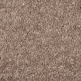 Mocha Maverick Saxony Carpet