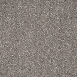 Mocha Stainfree Caress Carpet by Abingdon