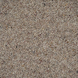 Mohair Natural Berber Twist Deluxe 55oz Carpet by Cormar