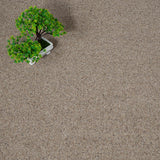 Mohair Natural Berber Twist Deluxe 55oz Carpet by Cormar