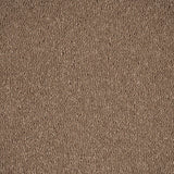 Moleskin 40 Aries Invictus Carpet