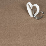 Moleskin 40 Aries Invictus Carpet