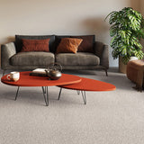 Moleskin Terra Heathers Twist Actionback Carpet by Associated Weavers Clearance