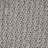 Moon Mist Primo Textures Carpet by Cormar
