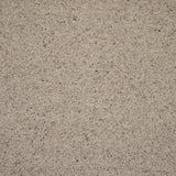 Morning Dew Natural Berber Twist Deluxe 55oz Carpet by Cormar