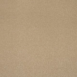 Muscovado Primo Plus Carpet by Cormar