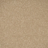 Muscovado Primo Plus Carpet by Cormar