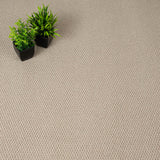 Natural Beige Florida Loop Carpet