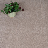 Natural Beige Haven Saxony Premium Feltback Carpet