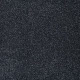 Night Sky 99 Stainaway Harvest Heathers Deluxe Carpet