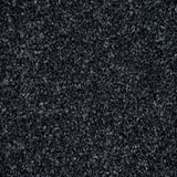 Night Sky 99 Stainaway Harvest Heathers Deluxe Carpet