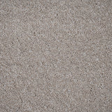 Northern Storm 36 Cassius 70oz Invictus Carpet