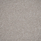 Northern Storm 36 Darius 50oz Invictus Carpet