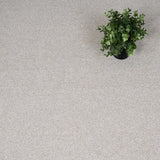 Oatmeal 04 Darius 50oz Invictus Carpet