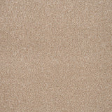 Oatmeal 33 Stainaway Harvest Heathers Deluxe Carpet