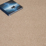 Oatmeal 33 Stainaway Harvest Heathers Deluxe Carpet