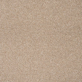 Oatmeal 33 StainGuard Harvest Heathers Supreme Carpet