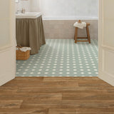 Odilon 546 Texas Wood Vinyl Flooring