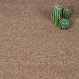 Okra 38 Darius 50oz Invictus Carpet