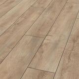 Oriental Oak Beige D4982 Exquisit 8mm Laminate Flooring by Kronotex