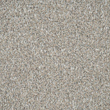 Pale Fawn Stainfree Knightsbridge Berber Carpet by Abingdon