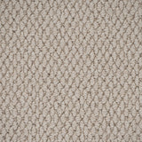 Pale Linen Primo Textures Carpet by Cormar