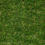 Palm Springs 47mm Artificial Grass