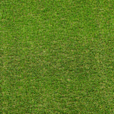 Palm Springs 47mm Artificial Grass