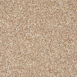 Palm Sugar Trinity Carpet by Cormar