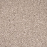 Pannacotta Primo Plus Carpet by Cormar