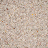 Parchment Natural Berber Twist Deluxe 55oz Carpet by Cormar
