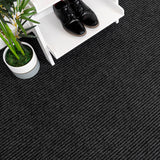 Anthracite Peak Entrance Matting