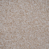 Pebble Beige Louisiana Saxony Carpet