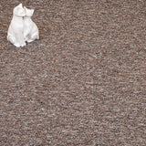 Pecan Utah Loop Feltback Carpet