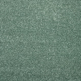 Peppermint Coast Twist Carpet