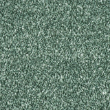 Peppermint Coast Twist Carpet