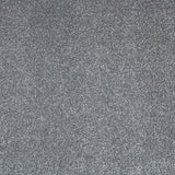 Pewter Grey 79 Monaco Twist Carpet