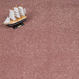 Pink Whisper Stainfree Caress Carpet by Abingdon