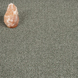 Pixie 24 Stainaway Tweed Carpet